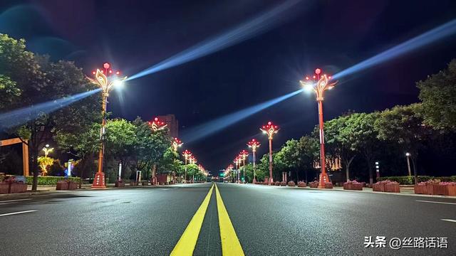 【焉支山下】白天看花 夜晚赏灯！山丹县把地标花卉“种”上街灯
