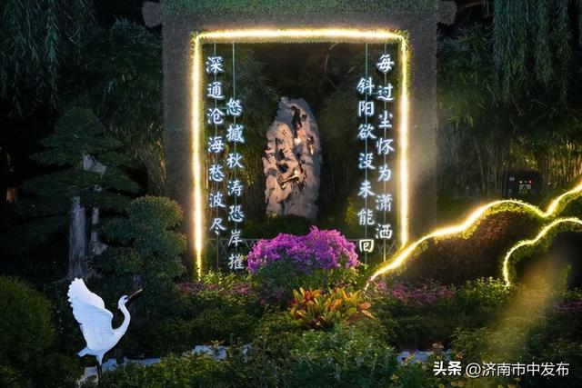4米巨型大立菊见过吗？第46届趵突泉金秋菊展明天开幕！5大亮点抢先看→