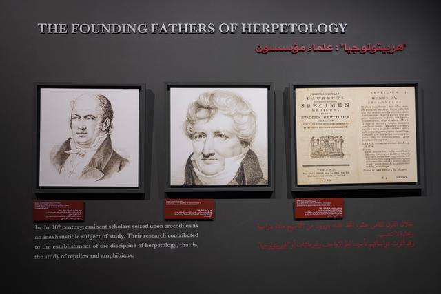 迪拜隐藏版野性目的地｜近距离看“巨齿王”的一天