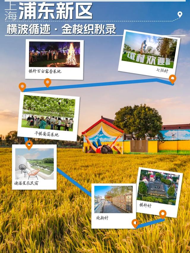 长三角11条线路藏满秋趣！2025中国美丽乡村休闲旅游行（秋季）精品推荐，快出发吧～