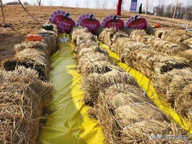 开年遛娃首选！东平湖流浪水世界暖冬亲子奇遇季，全家欢乐新去处！