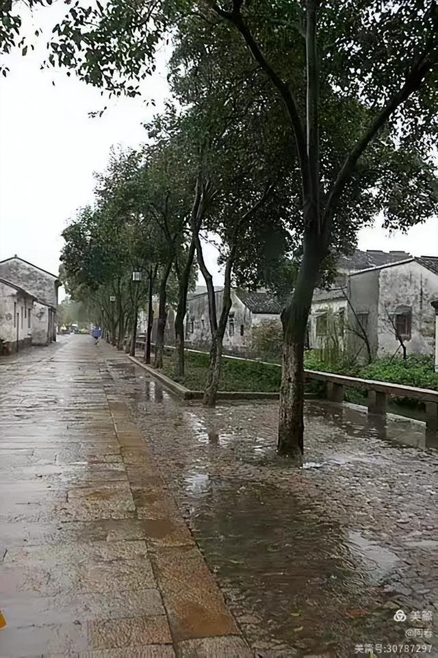 雨中看姑苏