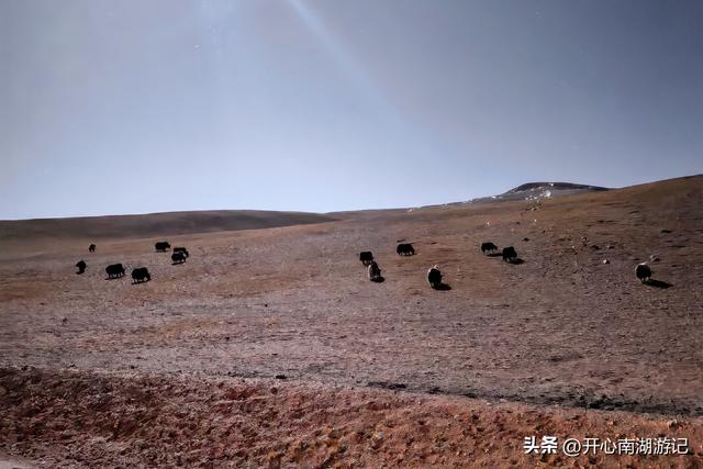 喀什经317到成都，民丰-改则，穿800里无人区，海拔从1500到5400