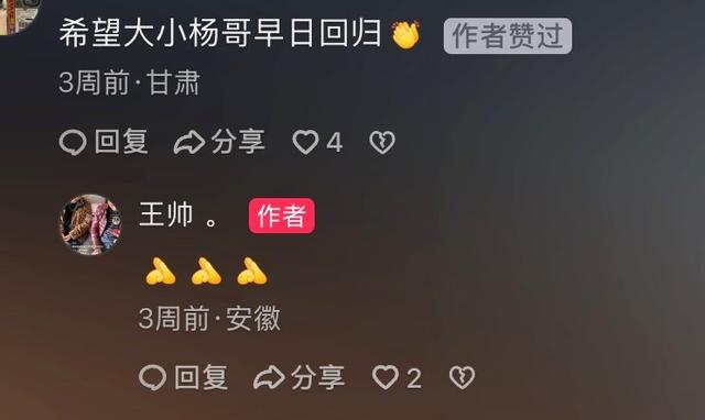 小杨哥停播一年多，小杨嫂大变样，从清纯脸变欧美脸，差点认不出