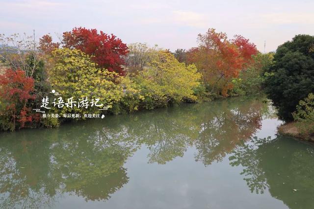 浙江宁波的水景公园，不仅是露营的好去处，还是银杏乌桕观赏胜地