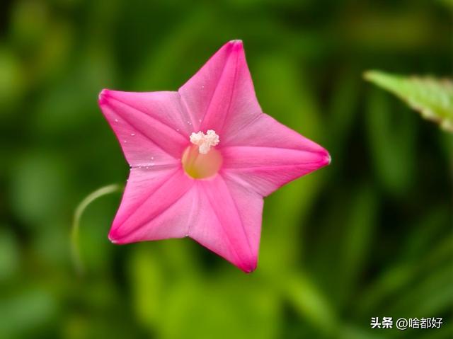 迟来的醒悟和道歉都太晚了，就让离别教你懂得珍惜和悔改吧