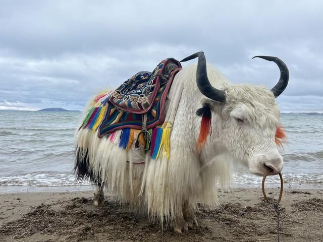 西南最值得去的10大景点，去过5个不简单，去过9个以上就厉害了