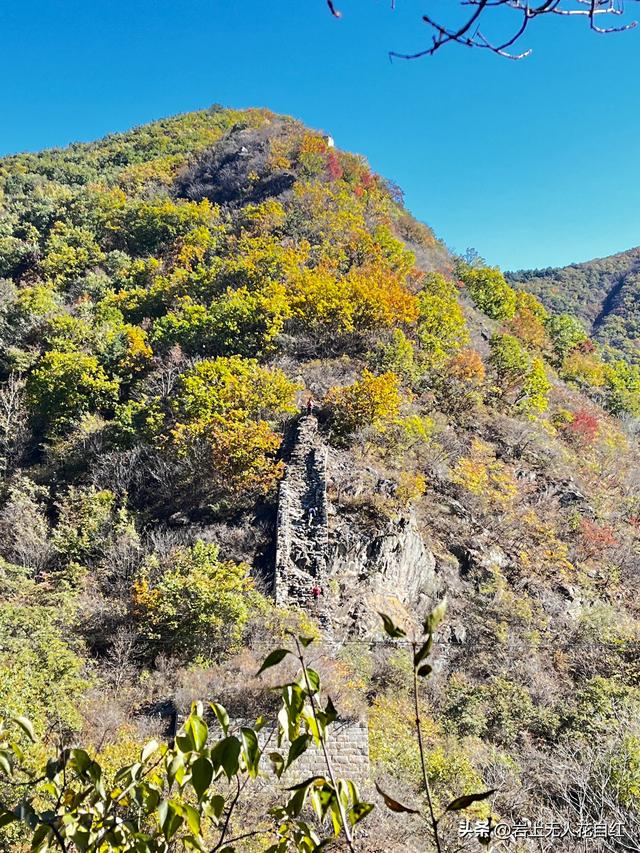 长城徒步之94：密云烧香峪、五虎门、黑谷关长城秋色