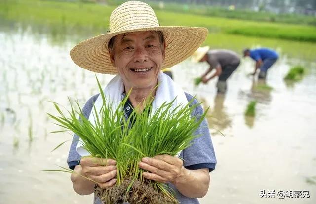我做代课老师去校长家插秧,他独生女儿问我:你愿意来我家上门吗