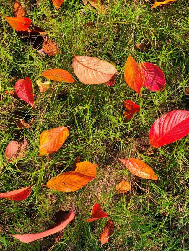 逛起来！8小时10个公园！