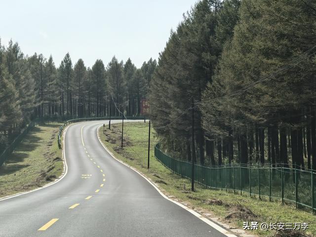 北上大草原第5站：内蒙古乌兰布统