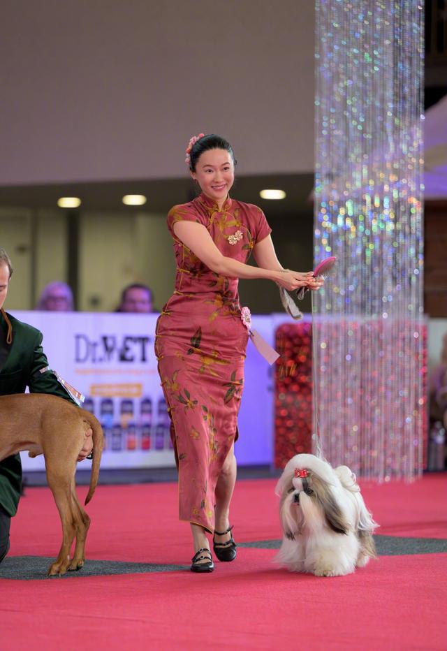 霍思燕同志个人简历