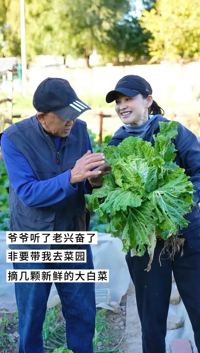 梅婷北京别墅小院烧烤趴	，爷奶菜园现摘白菜萝卜，闺蜜颖儿又上门