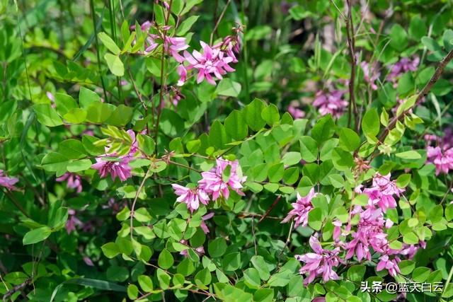 不管你信与不信，女性过了55岁后，基本都有以下方面的需求