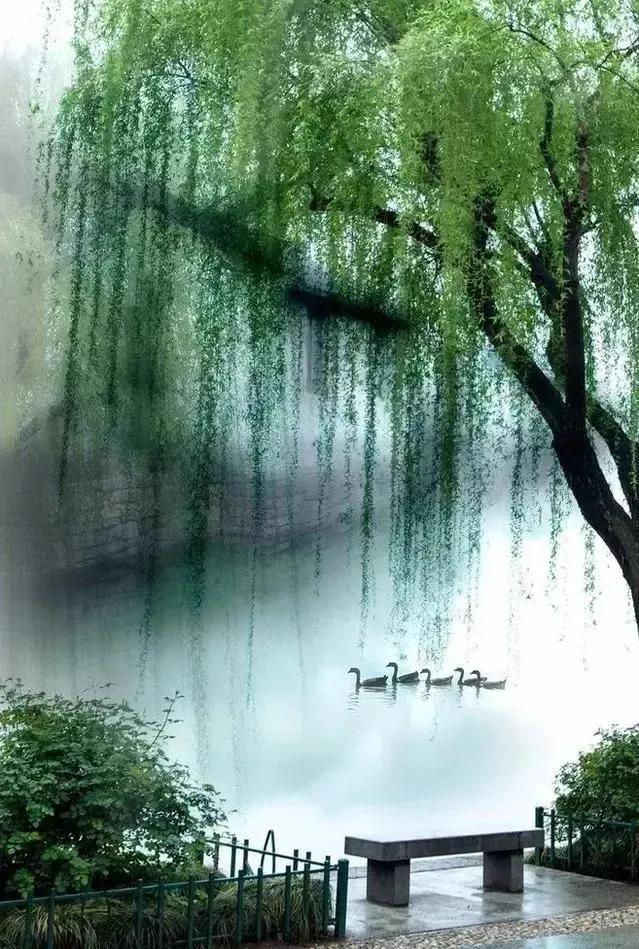 手机壁纸精美图片（98）