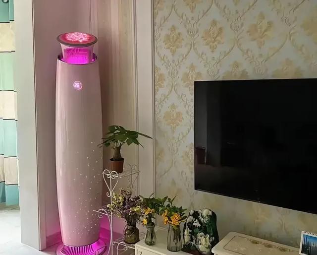 宋清辉谈论玫瑰空调，他认为定位不是年轻人，年龄越大的人越喜欢