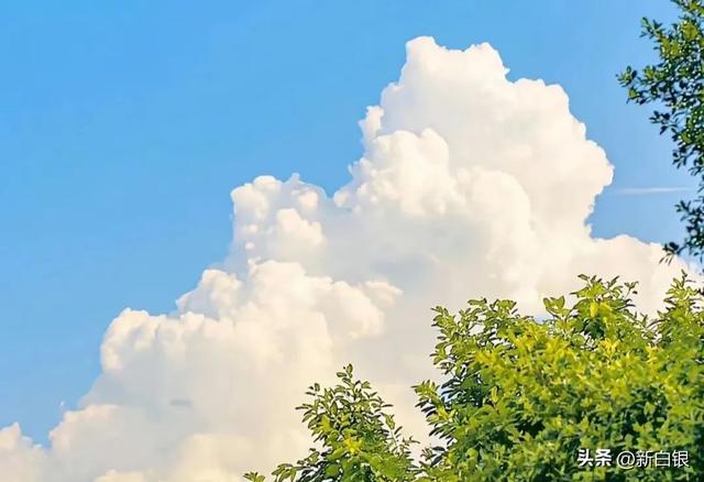 白银的夏天 原来可以这么带感