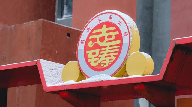 河北衡水：2025年首次降雪，臻园雪景绝绝子！