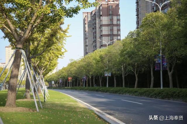 为什么金海的路大多都叫X园路、X丰路？