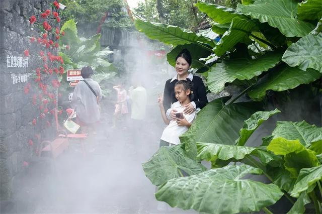 来海口寻趣乡野，遇见“向往的生活”