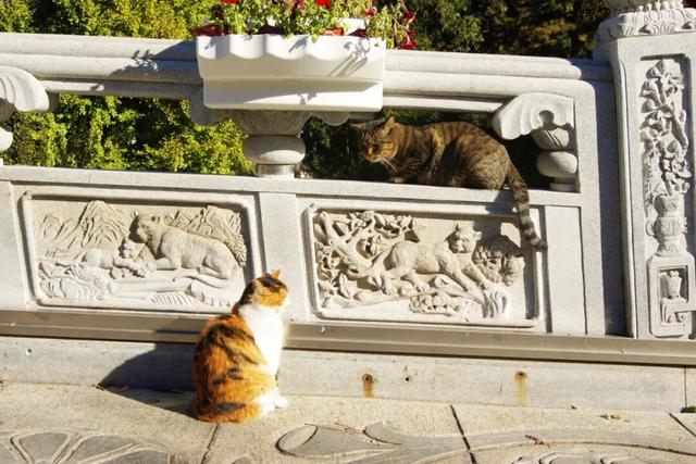 趁秋日暖阳，来八大处感受与自然共处的温柔→