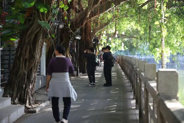 东莞有个宝藏地！下坝坊的24小时，从静谧古村到流光幻境