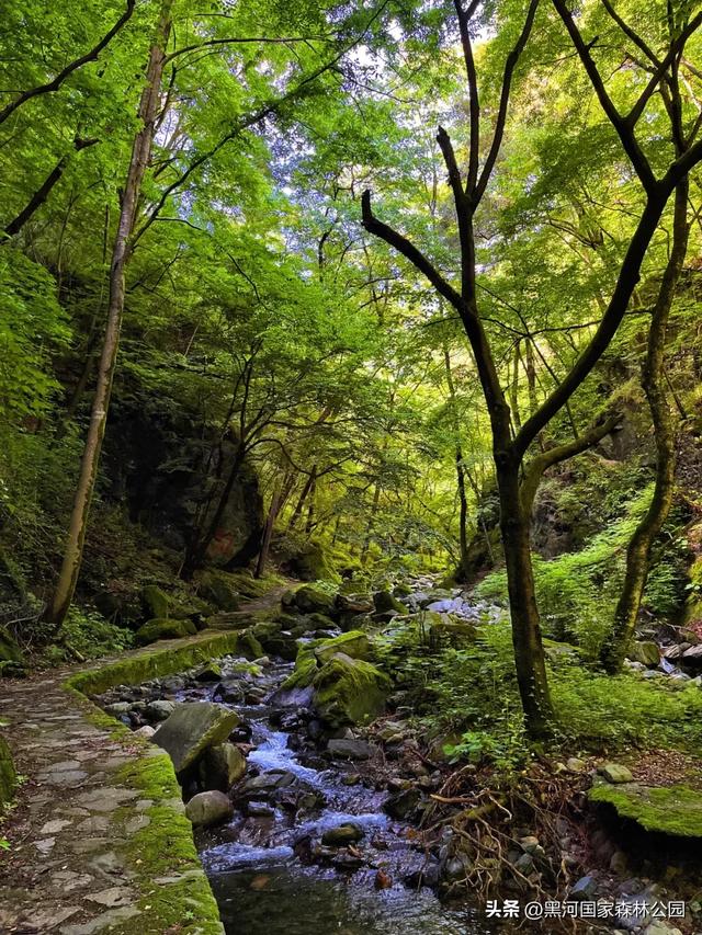 热浪再度来袭？不如进山去！享受20℃+的清凉舒爽