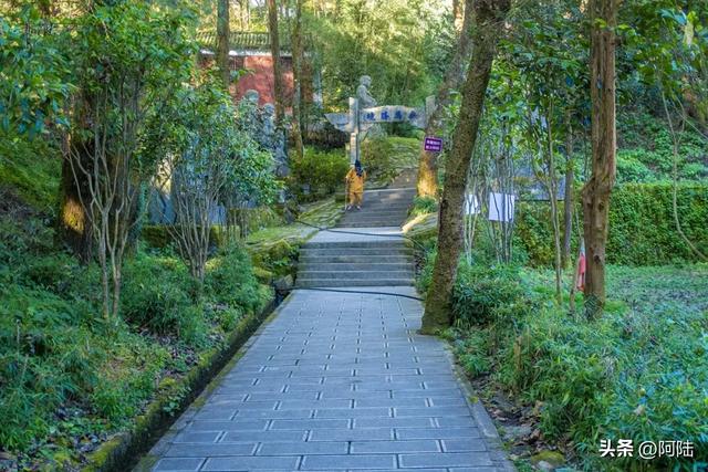 初访大理无为寺,宁静包容和不争的氛围着实感人,可惜不允许拍照