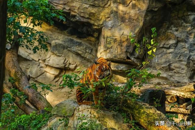 枣庄大官庄藏着千年大瓜：皇姑坟竟是采石场？薛国历史太颠覆！