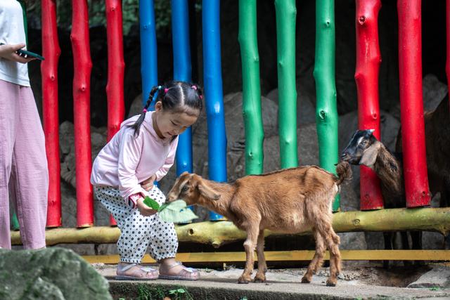 “秋假”来了！九皇山3天免票福利，亲子5天连休玩转羌山