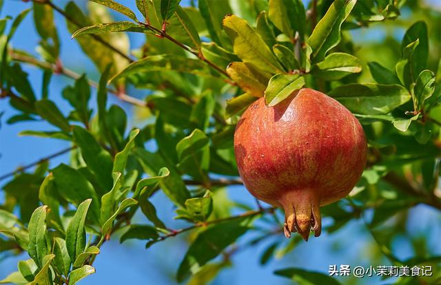 8月7立秋，今年立秋有3个好消息，2个坏消息，2个要注意，早了解