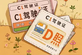 “C1”驾驶证加“D”照你是否知道如何申请？图片