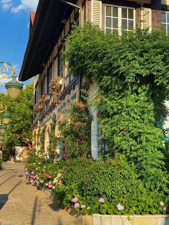 昆明藏了个“小巴黎”！不花钱get法式浪漫，天晴就出发！