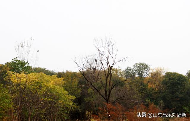 小丹河(老坝河水库西段)立冬那天的风光