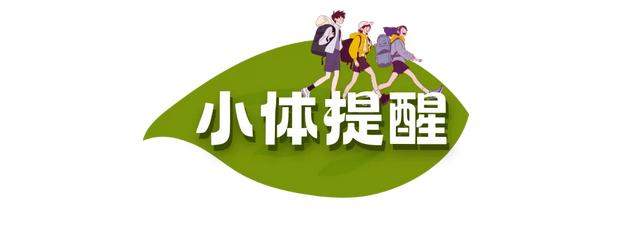 周五宠粉日｜运动赏景两不误！这份公园运动指南请查收，更有辰山植物园门票等你免费领