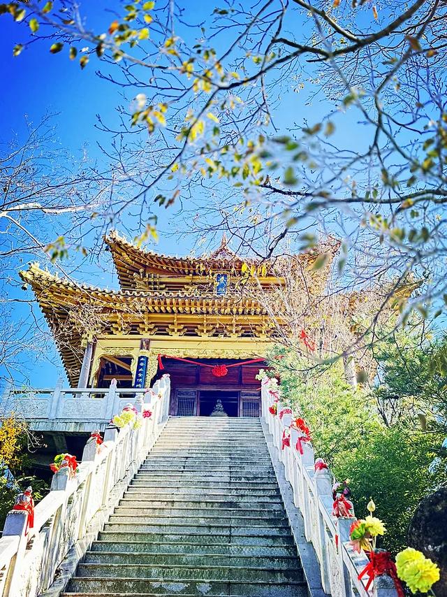 王振宇:秋游白音山