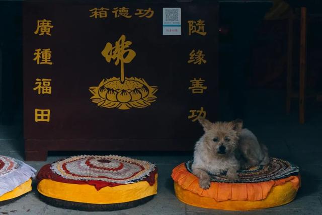 全部当天来回！精选10个王牌好耍地，奇观、异域、美食全都有，国庆不走远就看这篇！
