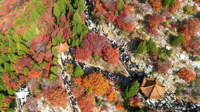 最新实拍！潍坊这里迎来“全红时刻”！