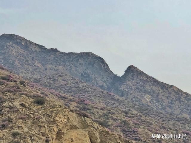 包头市土默特右旗部分文物保护单位考察笔记（上）