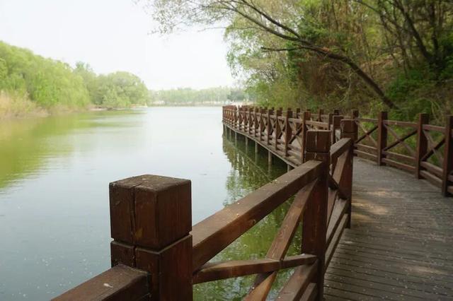 穿越百年时光，到阳谷景阳冈做一回“武松”