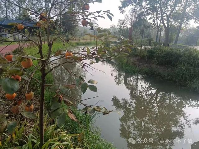 光山文殊寺,秋日的宁静与闲适