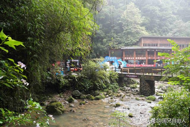 “渝黔生物基因库”黑山谷游记