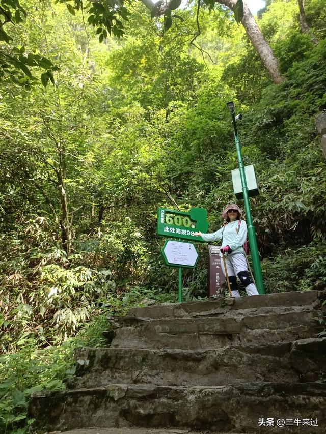 无为在歧路，贵州六日行（15）～梵净山
