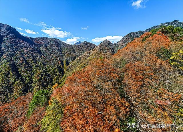 小神农架彩色森林进入最佳观赏期(组图）