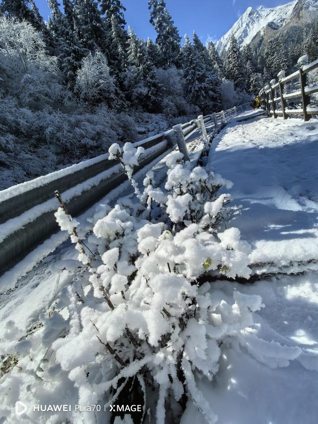 奶子沟+达古冰川，美的不可方物