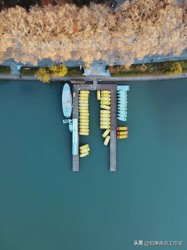 51张照片告诉你，南京的秋天有多美！