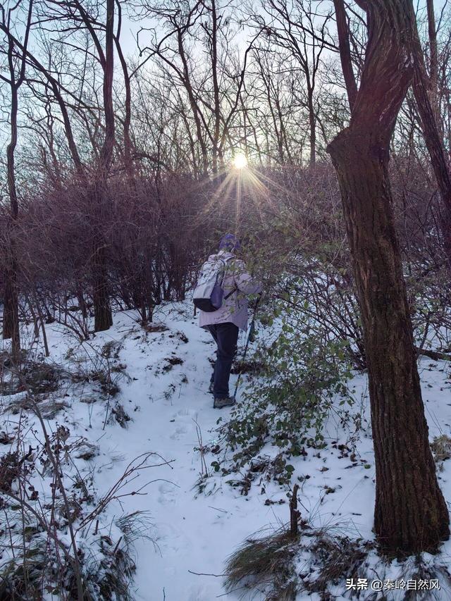 雪后初霁登顶嵯峨山，走荒野雪原，看千年悟空塔，感受历史的烟云