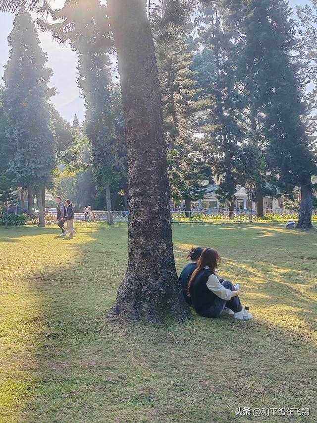 厦门植物园：邂逅自然的绮梦
