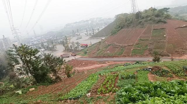 重庆人厉害了!比“纽约中央公园”更好的公园,在重庆出现了!