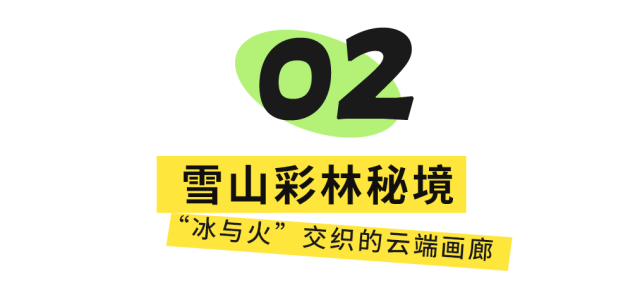 红了！成都周边18个顶级赏秋地更新！最快30min刹拢，最佳观赏期已到！速冲！